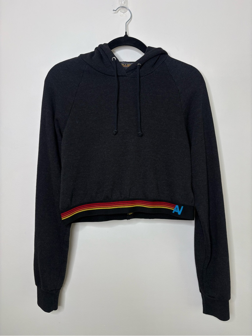 Aviator Nation Logo Stripe Crop Pullover Hoodie